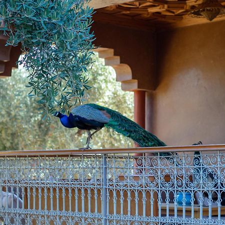 Villa Ferme Sidi Safou Marrakesch Exterior foto